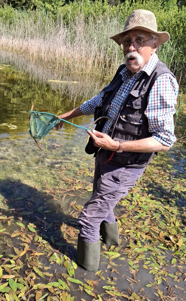 Käfer-Entomologe Prof. Dr. Peter Stüben