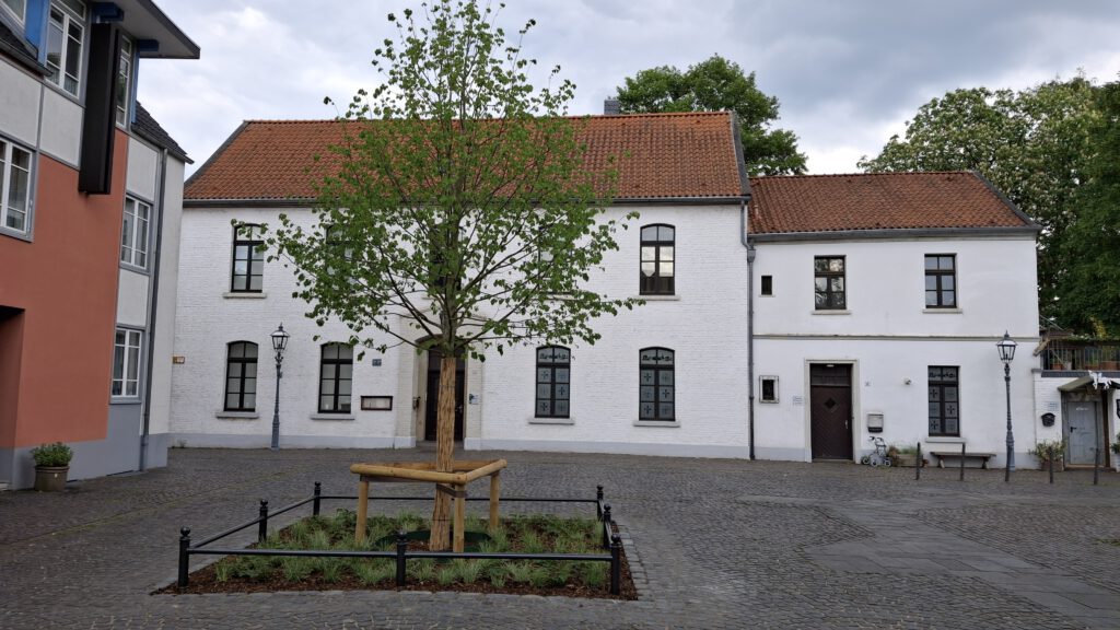 Zwei Bäume für den Margaretenplatz